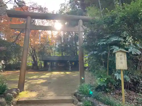 鹿島神宮の鳥居