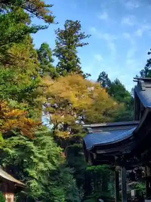 青海神社(新潟県)