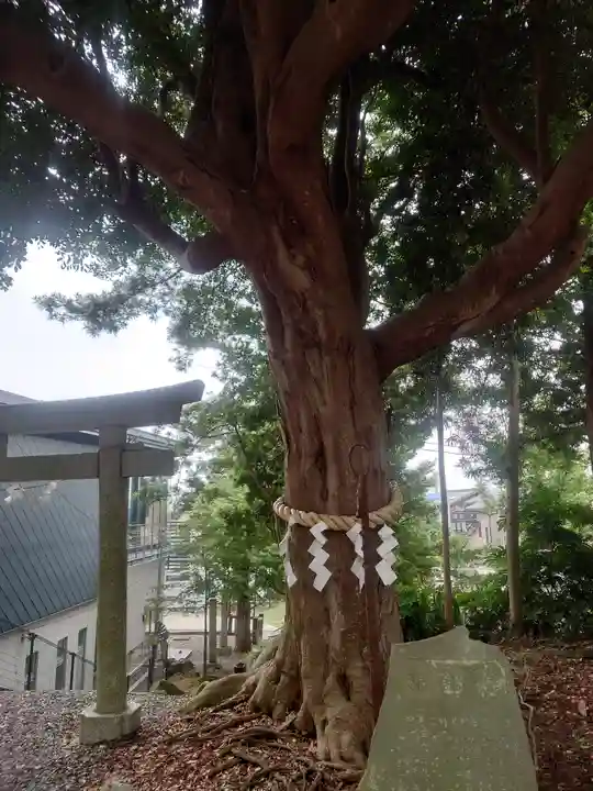 玉前神社(千葉県)