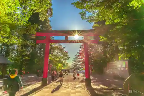 霧島神宮(鹿児島県)