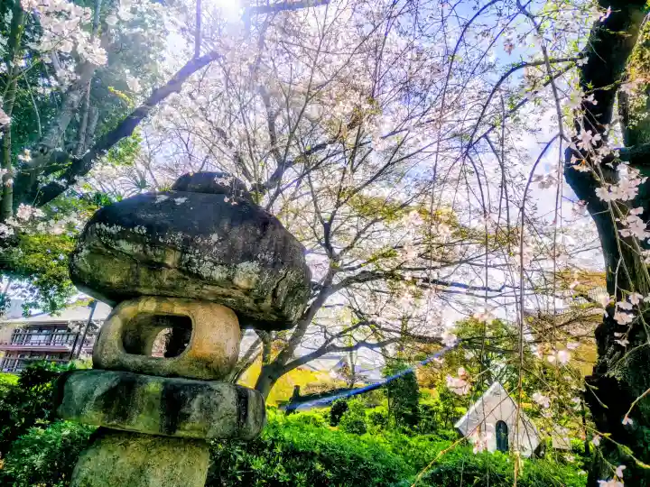 増上寺の{uncategorized: "未分類", other: "その他", undefined: "問題あり", building: "その他建物", grave: "お墓", sacred_gate: "鳥居", guardian: "狛犬", statue: "像", buddha: "仏像", history: "歴史", nature: "自然", garden: "庭園", animal: "動物", pagoda: "塔", temizu: "手水舎", mountain_gate: "山門・神門", sanctuary: "本殿・本堂", subordinate: "末社・摂社", art: "芸術", scenery: "景色", jizo: "地蔵", ema: "絵馬", goshuin: "御朱印", omikuji: "おみくじ", items: "授与品その他", amulet: "お守り", goshuincho: "御朱印帳", eats: "食事", festival: "お祭り", votive_dance: "神楽", shichigosan: "七五三参", wedding: "結婚式", experience: "体験その他", initially: "初詣", around: "周辺", anti_infection: "感染症対策"}