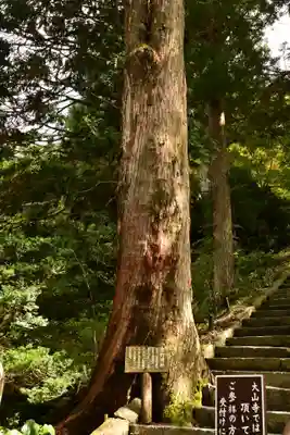 大山寺(鳥取県)