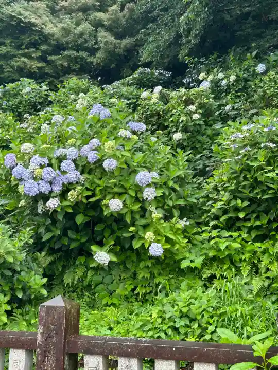 粟井神社(香川県)