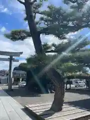 田縣神社(愛知県)