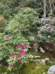 一條殿 新善光寺(京都府)