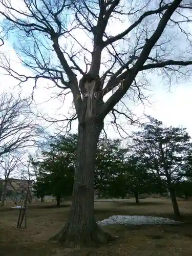 厚別神社(北海道)