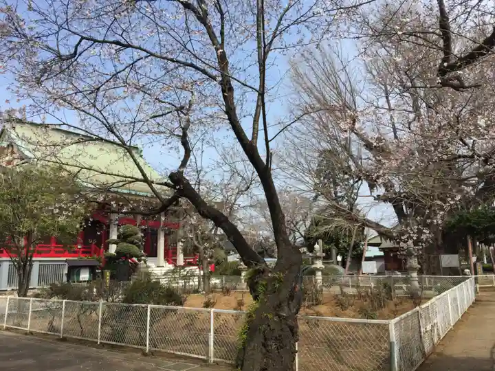 千葉寺の本殿・本堂