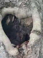 矢奈比賣神社(見付天神)の自然