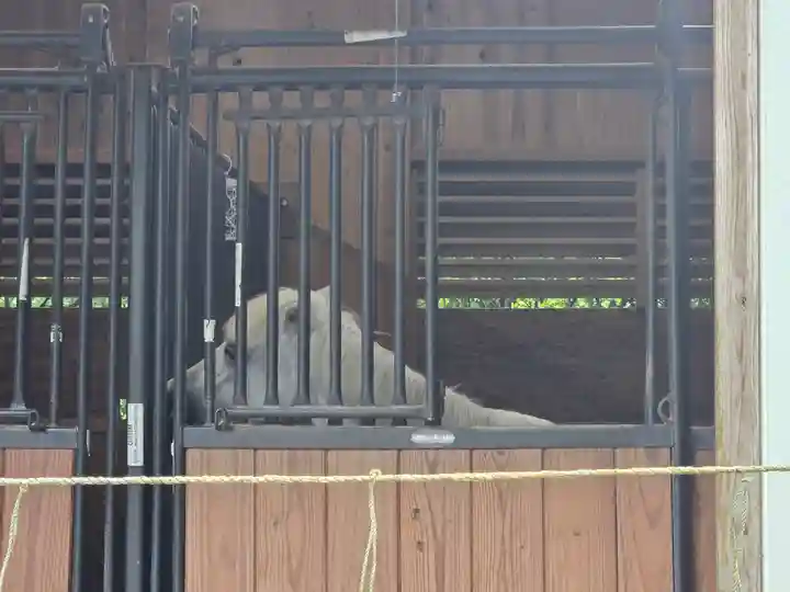 丹生川上神社(下社)(奈良県)