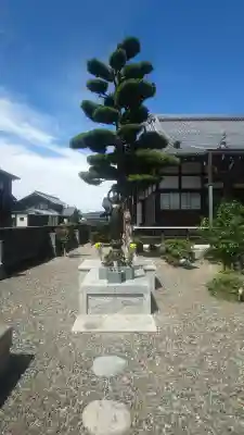 大源寺(岐阜県)