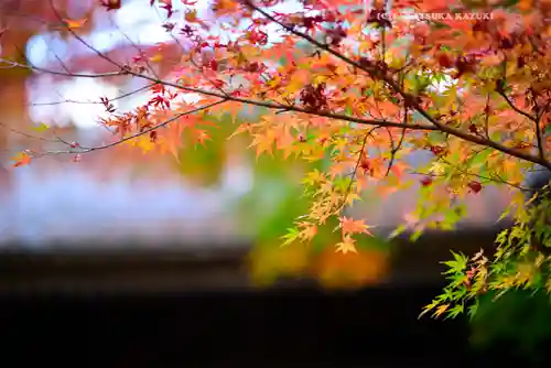 円覚寺(神奈川県)
