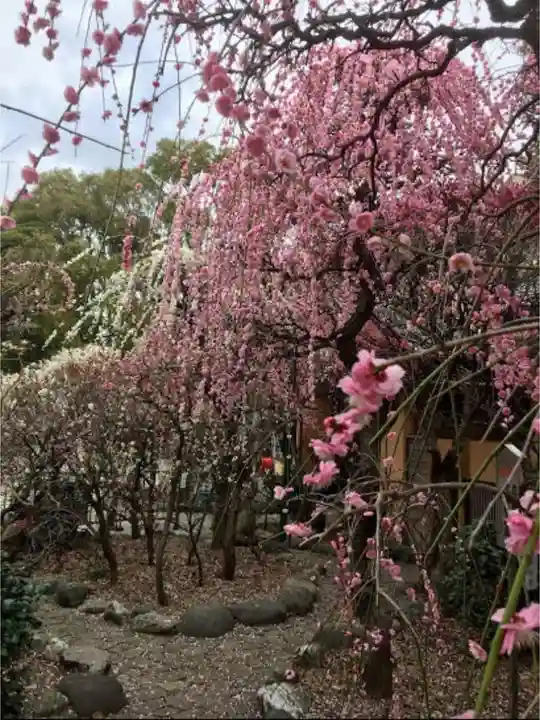 小村井 香取神社の庭園