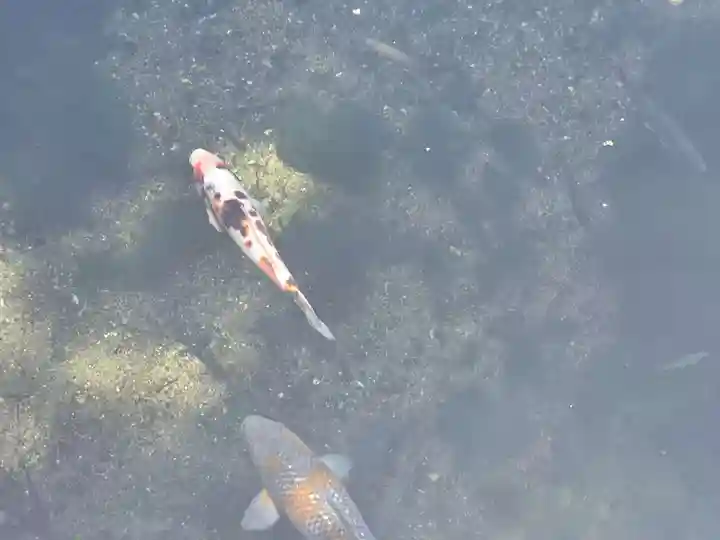 涌釜神社(栃木県)