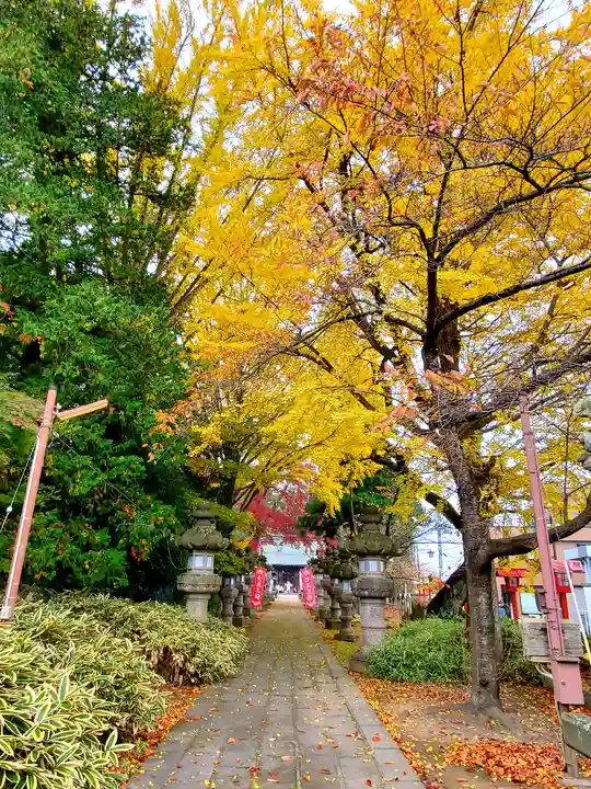 神炊館神社 ⁂奥州須賀川総鎮守⁂の自然