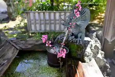 素盞雄神社(東京都)