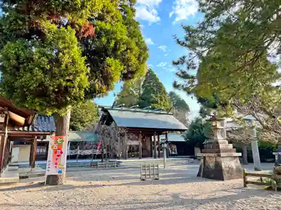 射水神社の七五三参