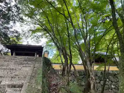 法常寺(京都府)