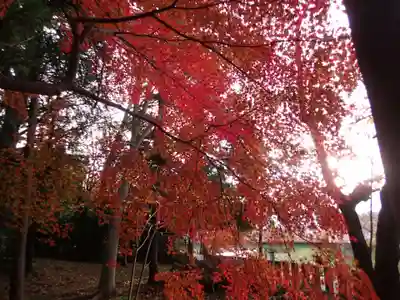 河俣神社の景色