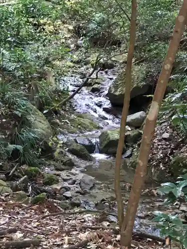 白瀧神社の自然