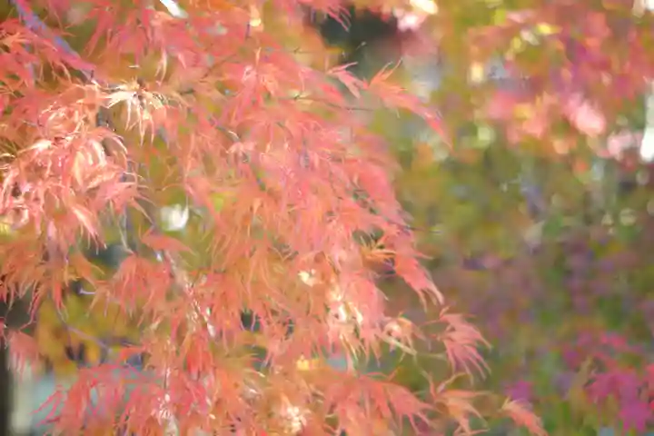 禅林寺(永観堂)(京都府)