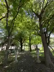 桂川神社(山梨県)