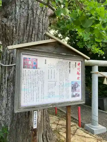 大宮神社の{uncategorized: "未分類", other: "その他", undefined: "問題あり", building: "その他建物", grave: "お墓", sacred_gate: "鳥居", guardian: "狛犬", statue: "像", buddha: "仏像", history: "歴史", nature: "自然", garden: "庭園", animal: "動物", pagoda: "塔", temizu: "手水舎", mountain_gate: "山門・神門", sanctuary: "本殿・本堂", subordinate: "末社・摂社", art: "芸術", scenery: "景色", jizo: "地蔵", ema: "絵馬", goshuin: "御朱印", omikuji: "おみくじ", items: "授与品その他", amulet: "お守り", goshuincho: "御朱印帳", eats: "食事", festival: "お祭り", votive_dance: "神楽", shichigosan: "七五三参", wedding: "結婚式", experience: "体験その他", initially: "初詣", around: "周辺", anti_infection: "感染症対策"}
