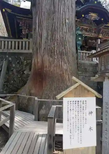 三峯神社の自然