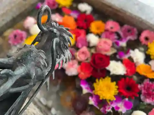 札幌諏訪神社の手水舎