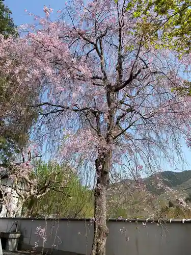 崇禅寺のその他建物