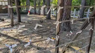 上川神社のおみくじ
