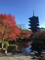 東寺(教王護国寺)の庭園
