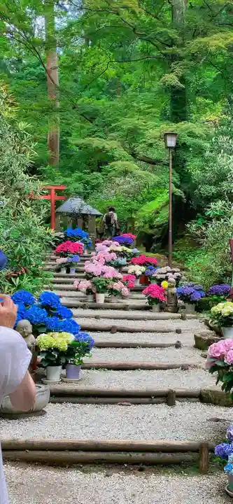 岡寺(龍蓋寺)(奈良県)