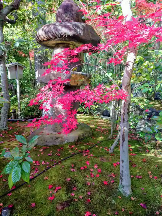 退蔵院(京都府)