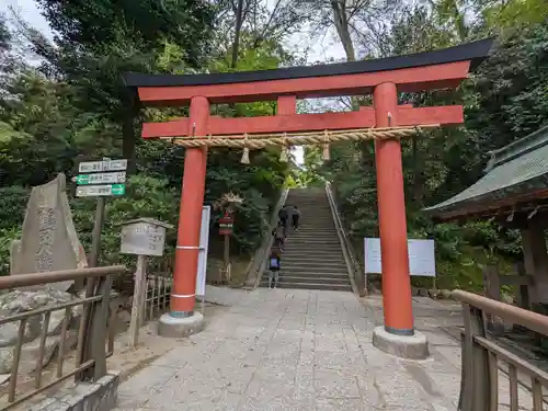 鶴岡八幡宮の鳥居