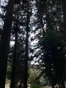 大宮温泉神社(栃木県)(2023年10月27日(金) 16時34分31秒投稿)