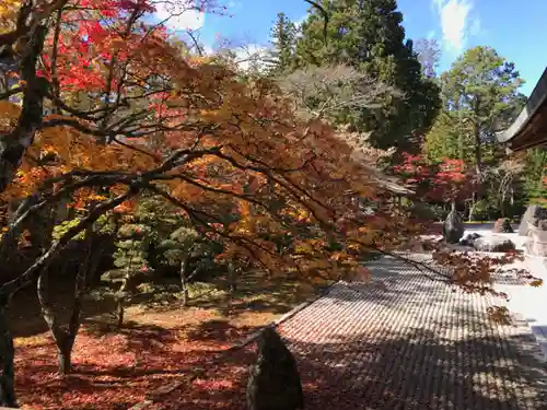 高野山金剛峯寺の庭園