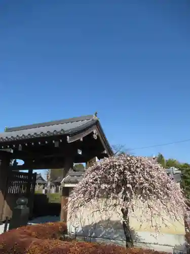 真光寺(千葉県)