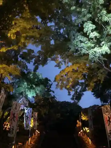 温泉神社〜いわき湯本温泉〜の庭園