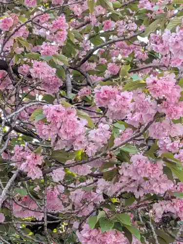 荘厳寺(東京都)