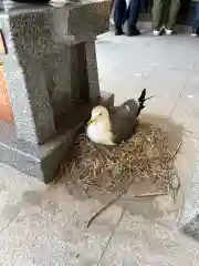 蕪嶋神社の動物