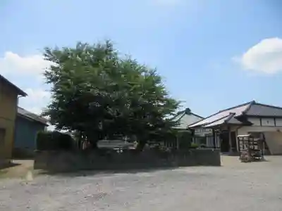 浄光院(栃木県)