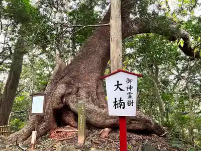 住吉神社(山口県)