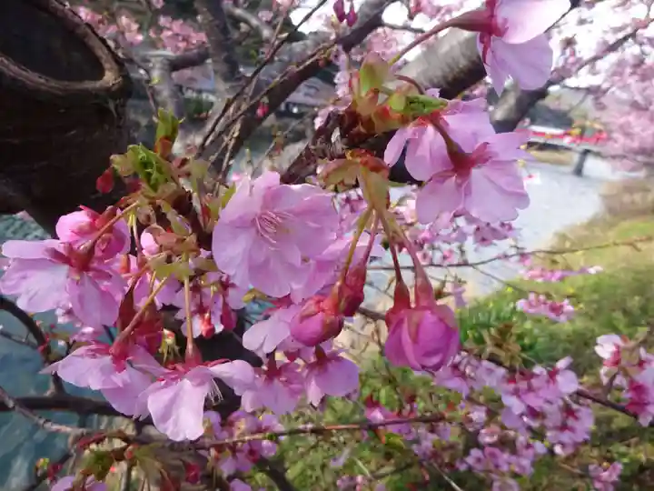 かっぱの寺 栖足寺の自然
