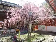 源九郎稲荷神社の自然