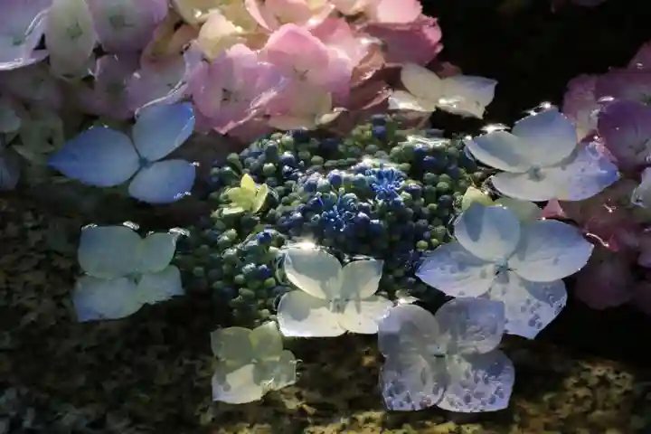 神炊館神社 ⁂奥州須賀川総鎮守⁂の手水舎