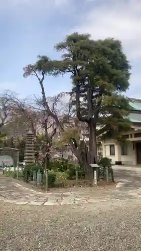 禪定院(東京都)