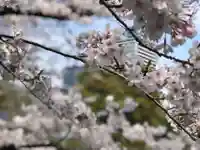 靖國神社(東京都)