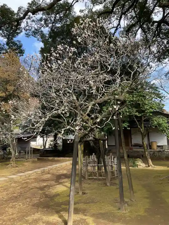 早雲寺(神奈川県)