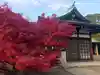 豊國神社の自然