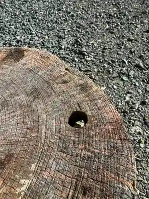 志賀理和氣神社(岩手県)